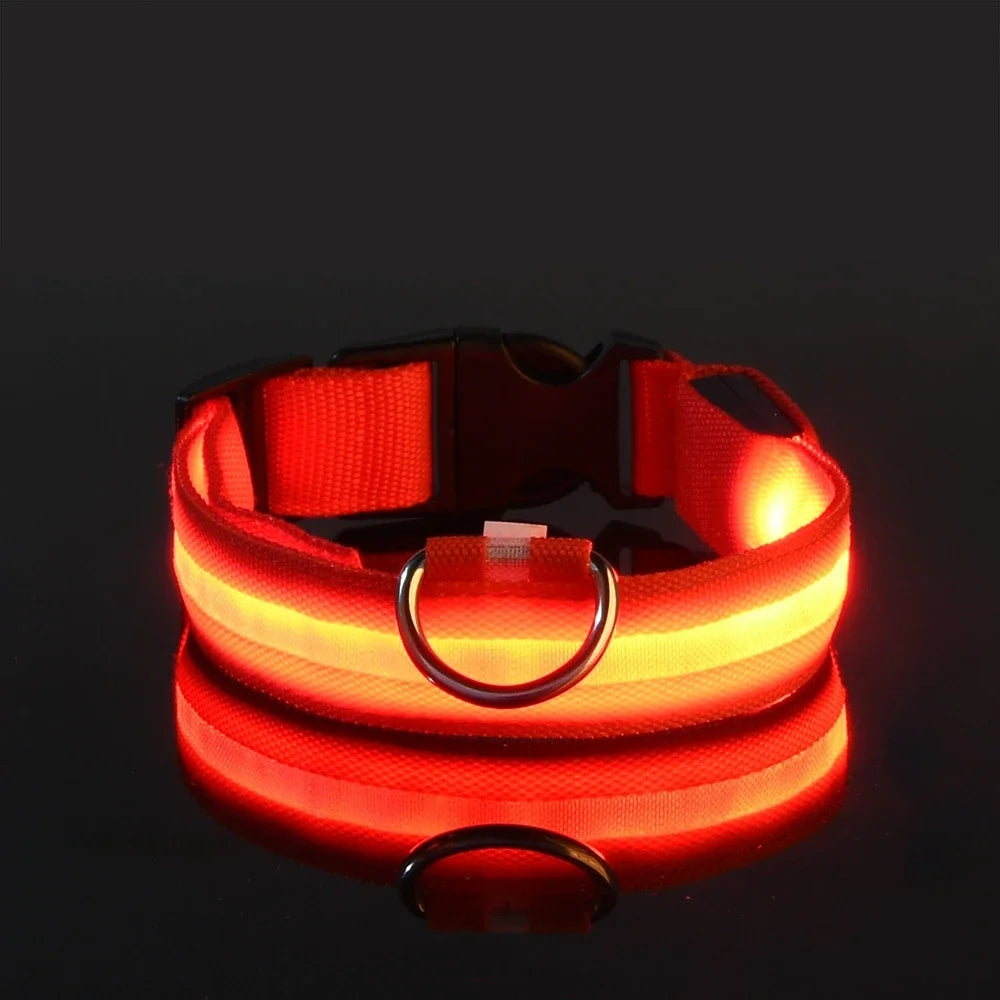 GlowSafe LED Dog Collar