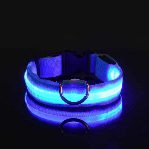 GlowSafe LED Dog Collar