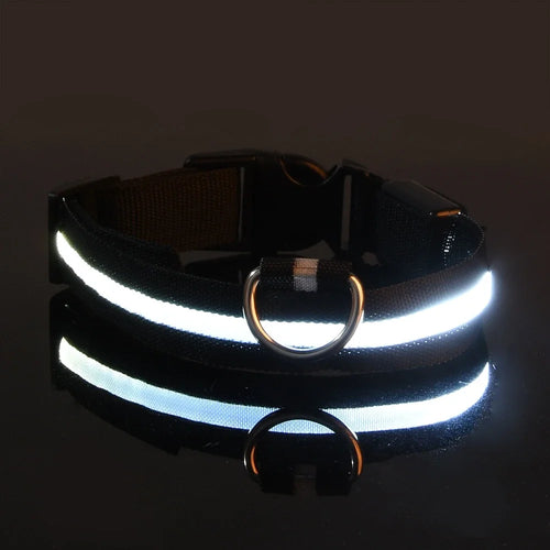 GlowSafe LED Dog Collar