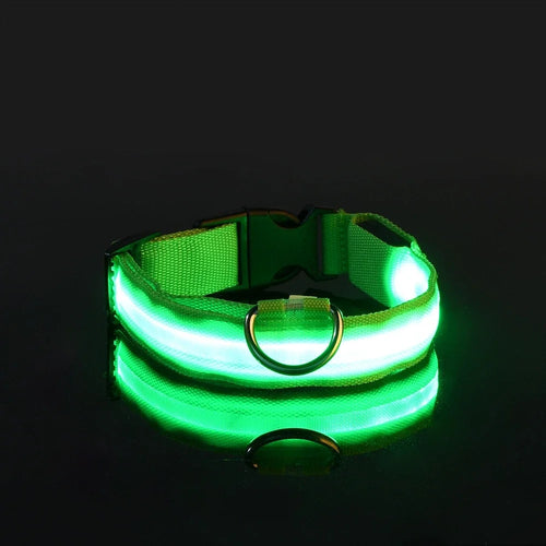 GlowSafe LED Dog Collar