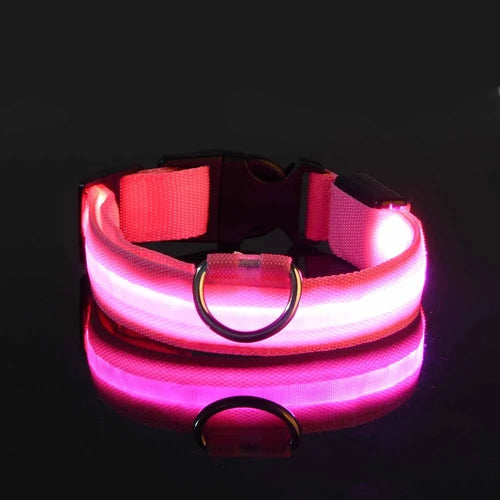 GlowSafe LED Dog Collar