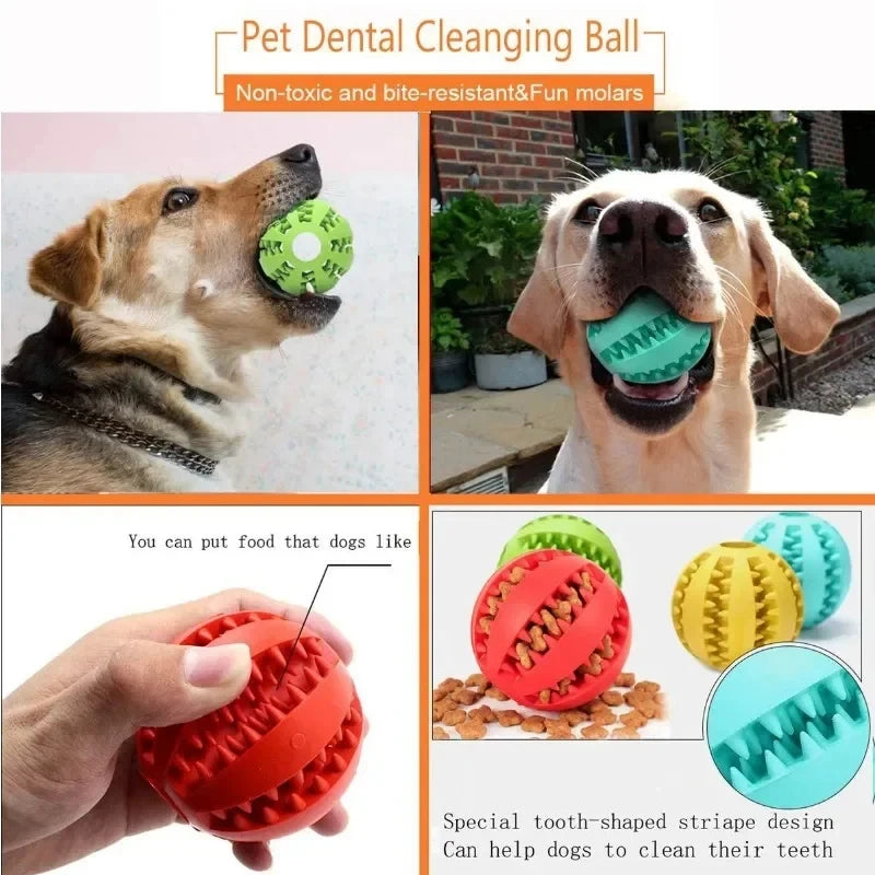 Indestructible Interactive Rubber Dog Ball