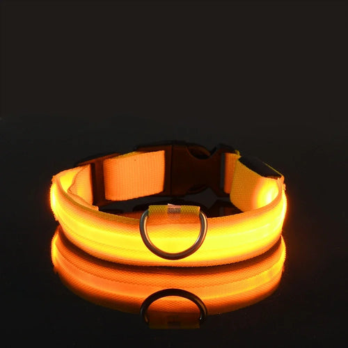 GlowSafe LED Dog Collar